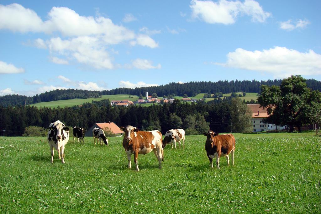 Bio-Bauernhof Heidegger Vila Möggers Exterior foto