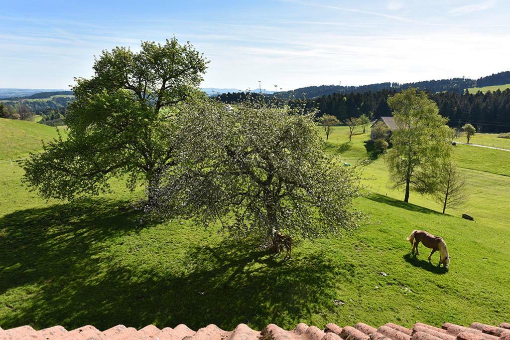 Bio-Bauernhof Heidegger Vila Möggers Exterior foto